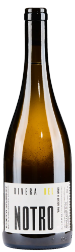 Roberto Henriquez Rivera del Notro Blanco