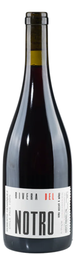 Roberto Henriquez Rivera del Notro Tinto