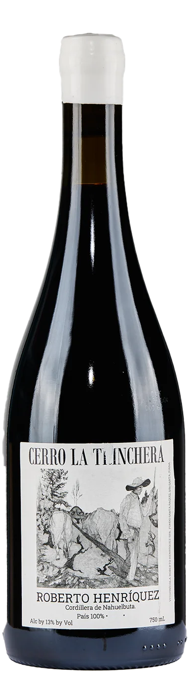 Roberto Henriquez Pais Cerro la Trinchera Viticole