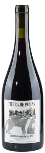 Roberto Henriquez Pais Tierra de Pumas
