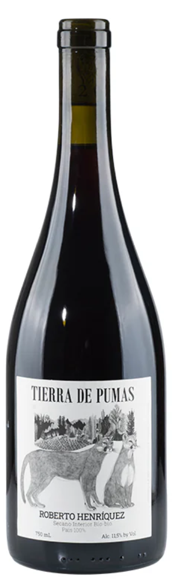 Roberto Henriquez Pais Tierra de Pumas