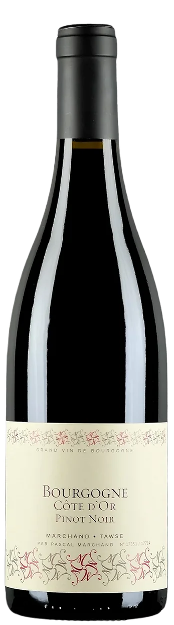 Marchand-Tawse Bourgogne Cote d'Or Pinot Noir