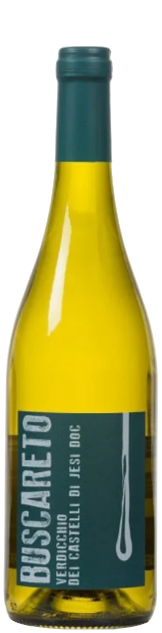 Conti di Buscareto Verdicchio dei Castelli di Jesi