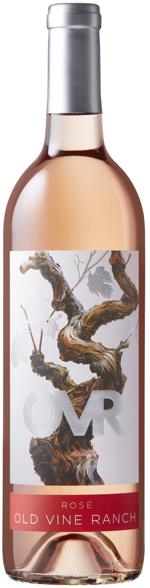 Marietta OVR Old Vine Rose