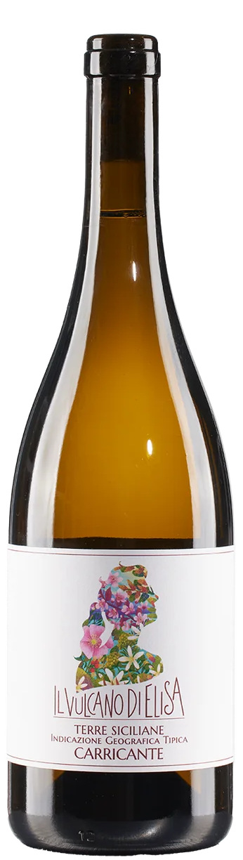 Il Vulcano di Elisa Caricante Il Vulcano di Elisa Caricante