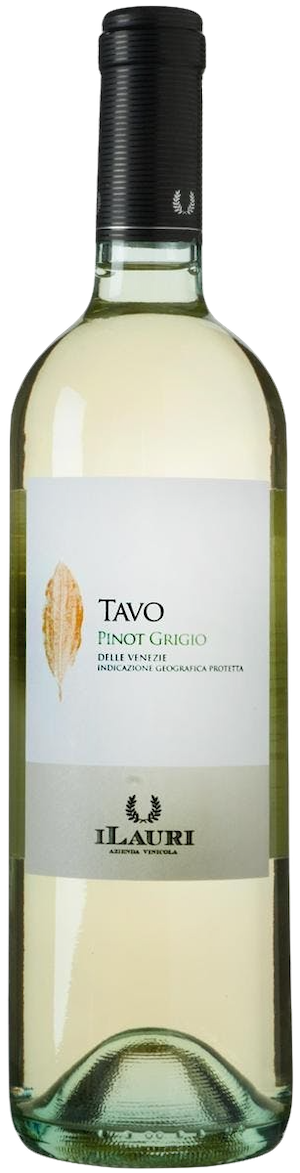 Ilauri Pinot Grigio Tavo