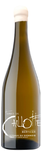 Clement & Florian Berthier Coteaux du Giennois Blanc "Terre de Caillotte"