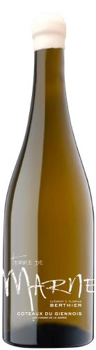 Clement & Florian Berthier Coteaux du Giennois Blanc "Terre de Marne"