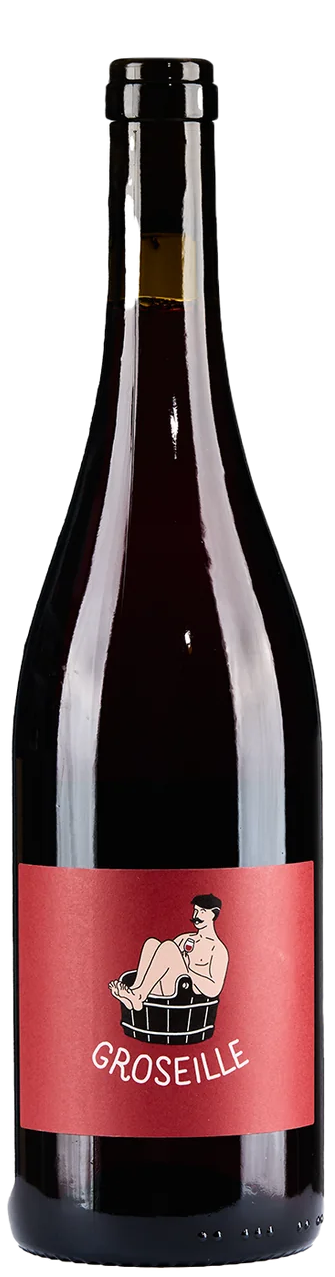 Alexis Hudon Gamay "Groseille" VdF