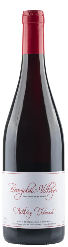 Anthony Thevenet Beaujolais Villages Anthony Thevenet Beaujolais Villages