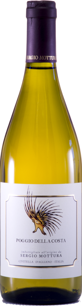 Sergio Mottura Grechetto Poggio della Costa IGT