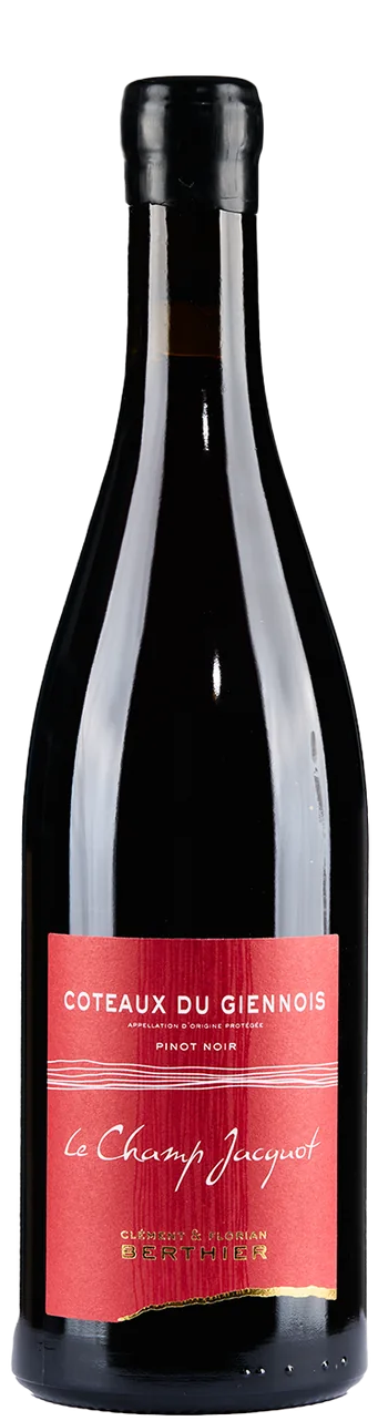Clement & Florian Berthier Coteaux du Giennois Rouge "Le Champs Jacquot"