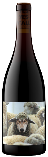 Maison Noir Pinot Noir In Sheep's Clothing