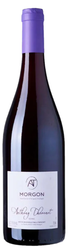 Anthony Thevenet Morgon