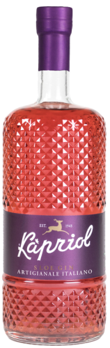Kapriol Liqueur Sloe Gin