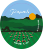 Pasaeli Karasakiz "Pet-Nat"