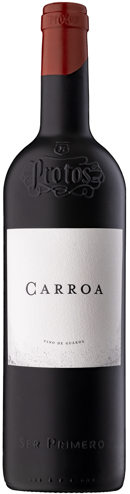 Bodegas Protos Ribera del Duero Carroa