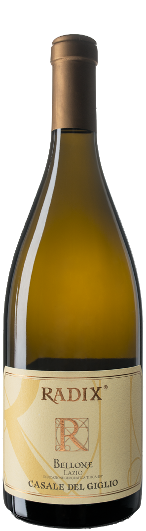 Casale del Giglio Bellone "Radix"