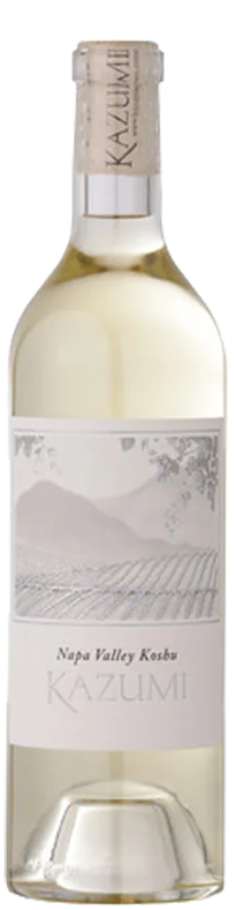 Kazumi Koshu