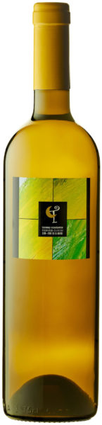 Domaine Thierry Constantin Valais Fendant