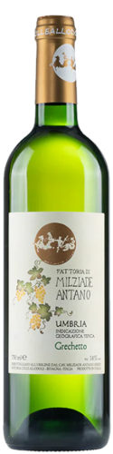 Milziade Antano Grechetto Umbria IGT