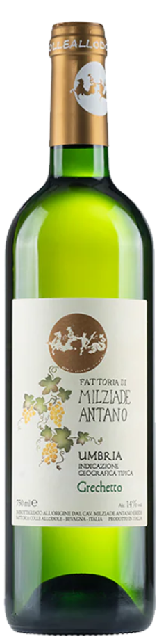 Milziade Antano Grechetto Umbria IGT