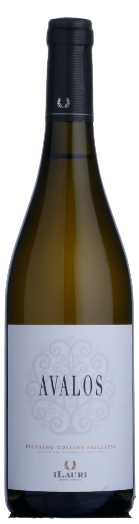 Ilauri Pecorino Avalos