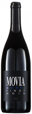 Movia Pinot Noir Modri