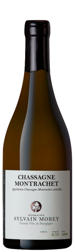 Domaine Sylvain Morey Chassagne-Montrachet Blanc Domaine Sylvain Morey Chassagne-Montrachet Blanc