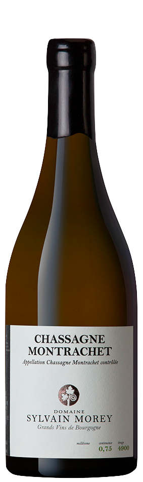 Domaine Sylvain Morey Chassagne-Montrachet Blanc