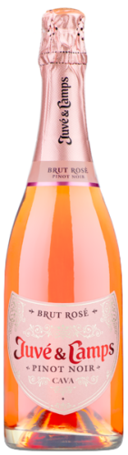 Juve y Camps Cava Pinot Noir Brut Rose