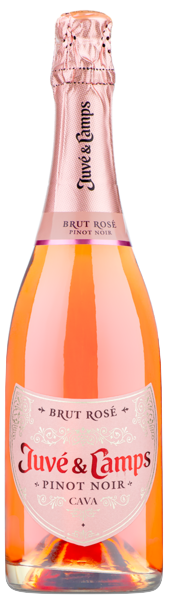 Juve y Camps Cava Pinot Noir Brut Rose