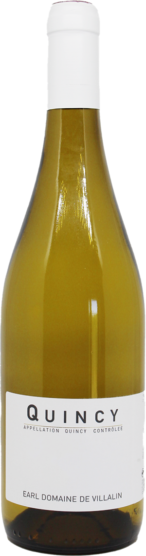 Domaine de Villalin Quincy Les Grandes Vignes de Villalin