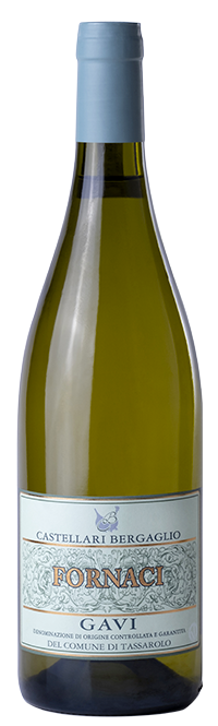 Castellari Bergaglio Gavi del Comune di Tassarolo Fornaci DOCG