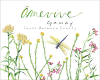 Amevive Gamay