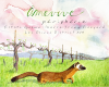 Amevive Red Blend Peripherie Ibarra-Young Vineyard