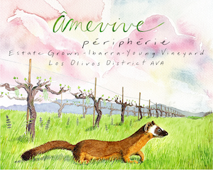 Amevive Red Blend Peripherie Ibarra-Young Vineyard