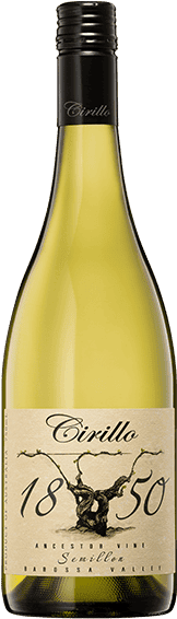 Cirillo Semillon "Ancestor Vine" 1850