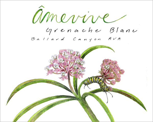 Amevive Grenache Blanc