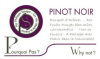 Domaine Sauger Pinot Noir "Pourquoi Pas? Why Not?"