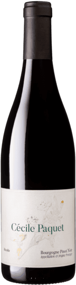 Cecile Paquet Bourgogne Pinot Noir