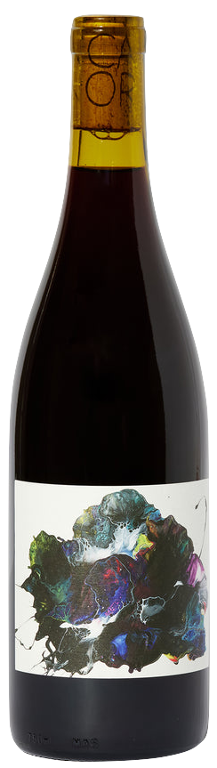 Vinca Minor Red Blend