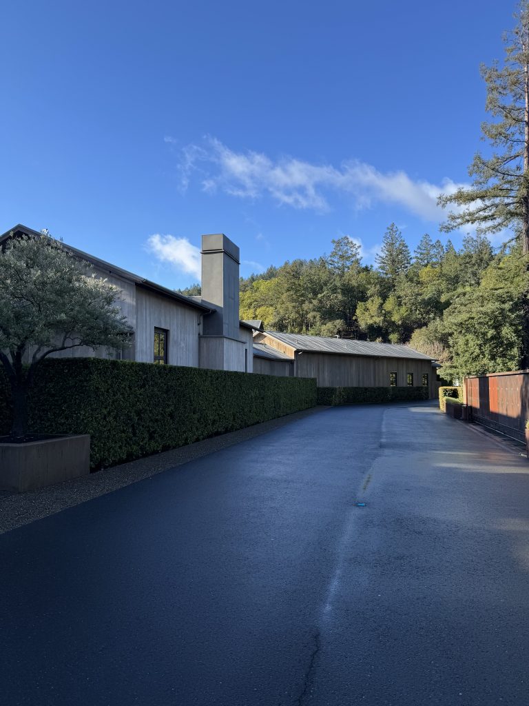 Vineyard hillside at Promontory