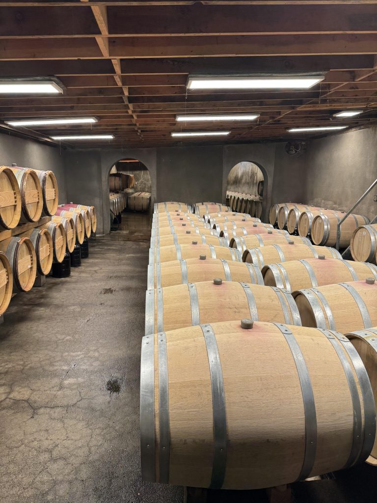 Rows of oak aging barrels inside Philip Togni Winery's cellar, with an arched doorway leading into a second barrel room