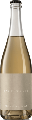 Giannicola di Carlo [Vigna Madre] Sparkling Ancestrale