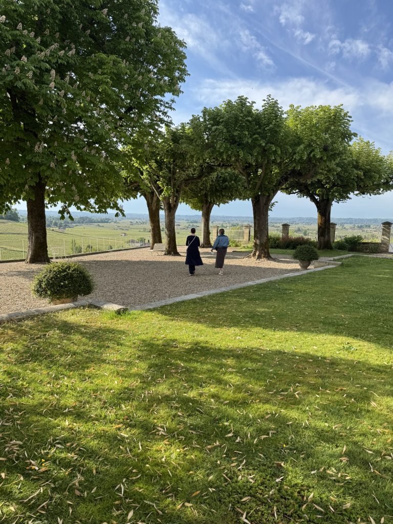 Tree-lined path through the vineyards at Château Ausone, Saint-Émilion, Bordeaux