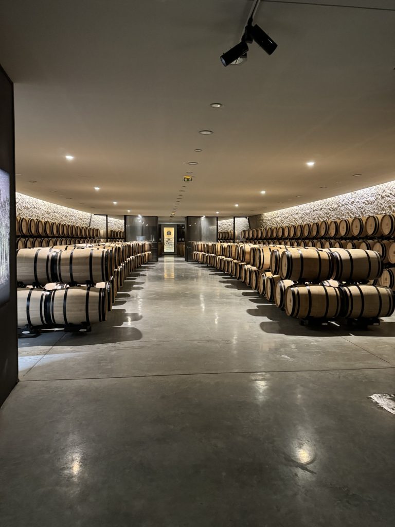 Modern barrel cellar at Château Les Carmes Haut-Brion, Pessac-Léognan, Bordeaux