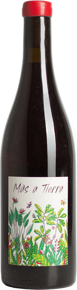 Petite Empreinte Pinot Noir Coteaux Bourguignons "Mas A Tierra"