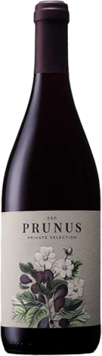 Gota Dao Tinto "Prunus Private Selection" Gota Dao Tinto "Prunus Private Selection"