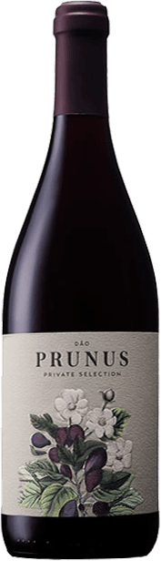 Gota Dao Tinto "Prunus Private Selection" Gota Dao Tinto "Prunus Private Selection"